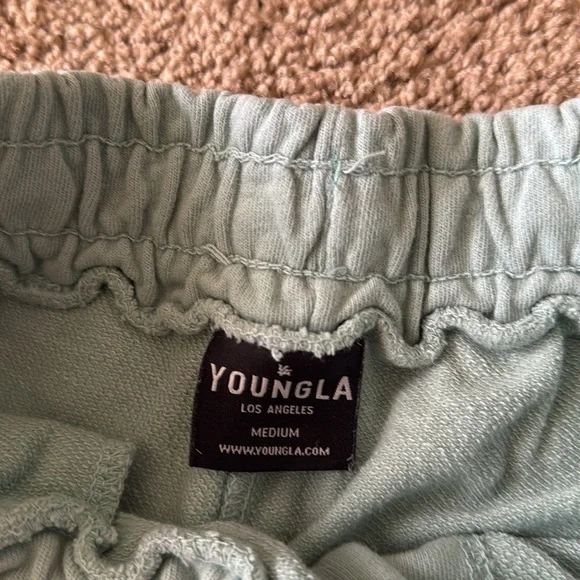 YoungLa Bodybuilding Slim Fit Gym Athletic Terry Sweat Shorts Teal - Picture 7 of 12